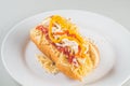 Brazilian hot dog with mustard katchup french fries maionese potate poure Royalty Free Stock Photo