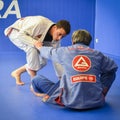 Brazilian Jiu Jitsu mixed martial arts grappling training at Fulham Gracie Barra academy in London, UK Royalty Free Stock Photo