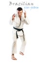 Brazilian jiu-jitsu Royalty Free Stock Photo