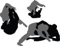 Brazilian Jiujitsu - Sweeps 01 Royalty Free Stock Photo