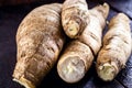 Brazilian manioc, a vegetable used in Brazilian cuisine, called macaxeira,