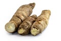 Brazilian manioc, a vegetable used in Brazilian cuisine, called macaxeira,