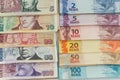 Brazil money and Argentinian peso / business concept