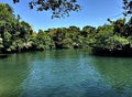 Brazilian natural waters