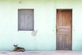Brazilian Nordeste Village Architecture with Dog