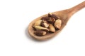 Brazilian Nuts into a spoon. Castanha do Para Royalty Free Stock Photo