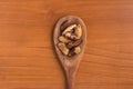 Brazilian Nuts into a spoon. Castanha do Para Royalty Free Stock Photo