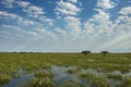 Divine light in the Brazilian Pantanal wetlands fields