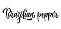 Brazilian pepper - vector hand drawn calligraphy style lettering word.