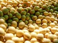 Brazilian soybean seeds background Royalty Free Stock Photo
