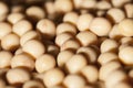 Brazilian soybean seeds