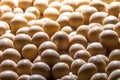 Brazilian soybean seeds