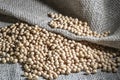 Brazilian soybean seeds on jute background