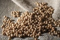 Brazilian soybean seeds on jute background