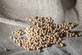 Brazilian soybean seeds on jute background
