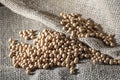 Brazilian soybean seeds on jute background