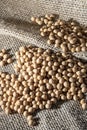 Brazilian soybean seeds on jute background