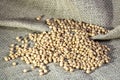 Brazilian soybean seeds on jute background