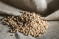 Brazilian soybean seeds on jute background