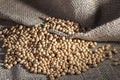 Brazilian soybean seeds on jute background