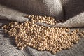 Brazilian soybean seeds on jute background