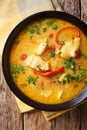 Brazilian stew fish with vegetables and coconut milk close-up in Royalty Free Stock Photo