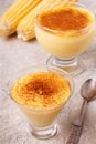 Brazilian sweet custard-like dessert curau de milho mousse of co Royalty Free Stock Photo