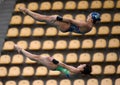 Brazilian team diving in the Olympic Games 2016 Royalty Free Stock Photo