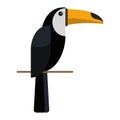 Brazilian toucan bird nature