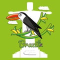 Brazilian toucan culture icons