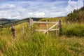 Brazilian tropical landscape Royalty Free Stock Photo