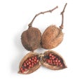 Brazilian Urucum Annatto Seeds