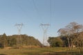 Buzzards and vultures of electric power 02.jpg Royalty Free Stock Photo