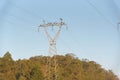 Buzzards and vultures of electric power 01 Royalty Free Stock Photo