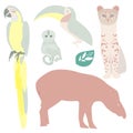 Brazilian wild animals vector illustration. South American tapir, exotic toucan, macaw, wild cat, Finger Monkey Pygmy Marmoset.