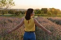 Brazilian woman 40 years old and back, with arms out in a lavender plantation. Being lit up by the sunset Royalty Free Stock Photo