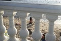 Brazilians and tourists bathe at Porto da Barra beach