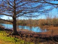 Brazos Bend State Park