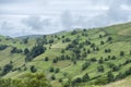 BraÃÂ±a with rustic stone shepherds cabins in the green meadows of the Cantabrian Mountains, Spain Royalty Free Stock Photo