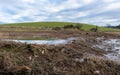 A breached flood bank on a wetland restoration project Royalty Free Stock Photo