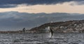 Breaching Great White Shark  . Scientific name: Carcharodon carcharias. Mossel Bay. South Africa Royalty Free Stock Photo