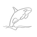 Orca line art Royalty Free Stock Photo