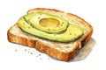 Bread background snack vegetarian sandwich avocado diet vegetable food healthy fresh green slice toast Royalty Free Stock Photo