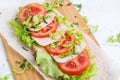 Bread baguette sandwich with ham, tomatoes and lettuce Royalty Free Stock Photo