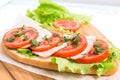 Bread baguette sandwich with ham, tomatoes and lettuce Royalty Free Stock Photo