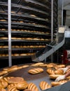 Bread bakery