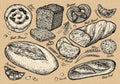 Bread, bakery. hand-drawn sketches of food. vector illustration