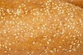 Bread bakery sesame seeds texture background Royalty Free Stock Photo