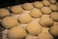 Bread ball dough on the tray in row