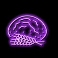 bread barley ear neon glow icon illustration Royalty Free Stock Photo